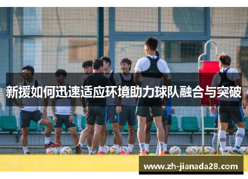 新援如何迅速适应环境助力球队融合与突破